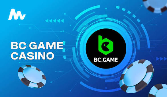 Understanding the BC App Verification Process A Detailed Guide